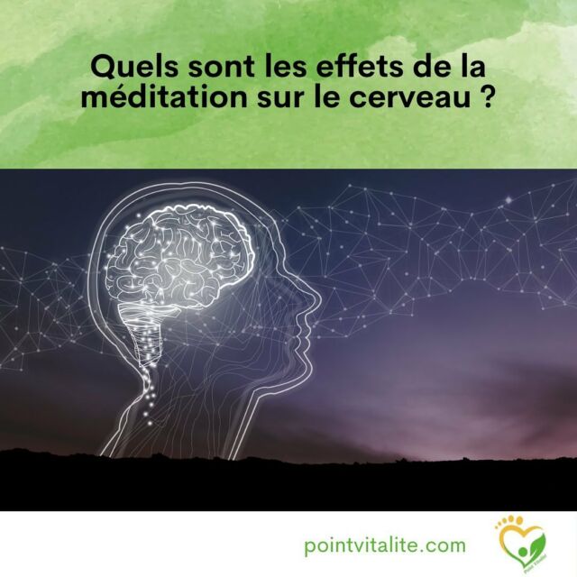 Le moment de déconnexion offert par une séance de méditation a également des effets physiologiques positifs sur le cerveau.
Découvrez lesquels dans cette publi.

Prendre un temps pour soi n’est jamais une « perte » de temps, mais un investissement sur son bien-être cognitif et émotionnel.

#bienetre #bienêtre #mieuxetre #mieuxêtre #mieuxêtreauquotidien #mieuxetreautravail #santénaturelle #santenaturelle #naturopathie #naturopathe #pointvitalite #nutrition #phytotherapie #phytothérapie #aromathérapie #gemmothérapie #mieuxvivre #gestiondustress #gestiondesemotions #fatigue #fatiguechronique #fatiguée #fatigué #vitalité #bienvieillir #bienvieilliraunaturel #sommeil #stress #cognition #méditation