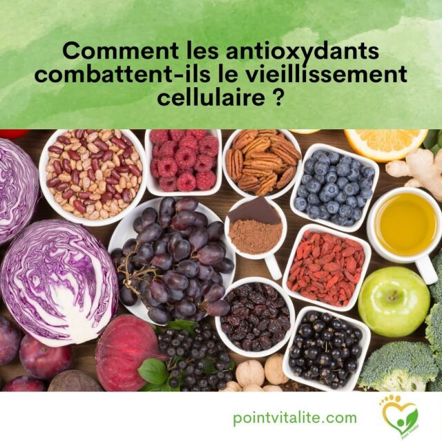 On retrouve les antioxydants dans la plupart des fruits et légumes, d’où l’intérêt d’en manger régulièrement!
Ils assurent notre protection, notre réparation, notre résistance.
Ce n’est pas optionnel, c’est un besoin vital du corps.
Pourquoi consommer des compléments alimentaires lorsqu’on peut les puiser dans notre alimentation?

#bienetre #bienêtre #mieuxetre #mieuxêtre #mieuxêtreauquotidien #mieuxetreautravail #santénaturelle #santenaturelle #naturopathie #naturopathe #pointvitalite #nutrition #phytotherapie #phytothérapie #aromathérapie #gemmothérapie #mieuxvivre #gestiondustress #gestiondesemotions #fatigue #fatiguechronique #fatiguée #fatigué #vitalité #bienvieillir #bienvieilliraunaturel #sommeil #stress #cognition #énergievitale