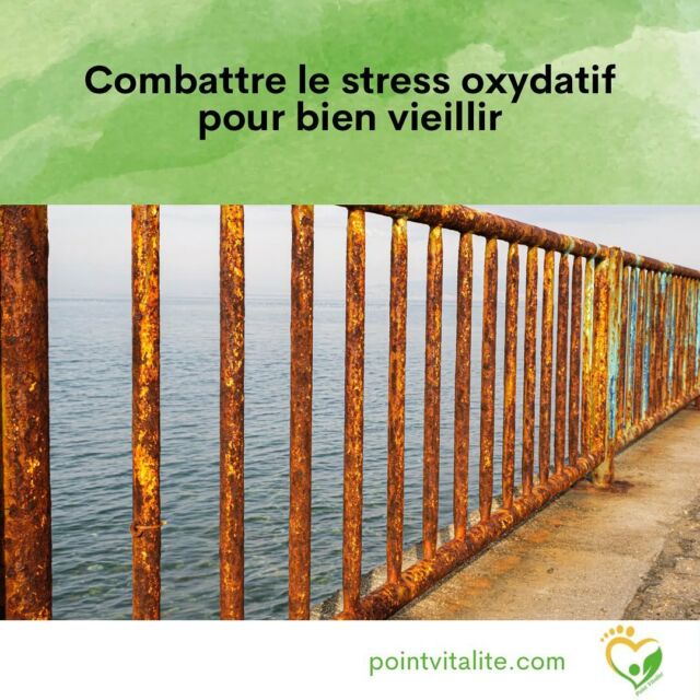 Avec le temps, appelons-le « âge », des mécanismes d’oxydation se mettent en place de plus en plus fréquemment dans toutes nos cellules. 
Comme la rouille qui apparait sur un grillage ou une barrière.

De la peau aux tissus les plus profonds, il faut impérativement renforcer les fonctions anti-oxydantes de nos cellules.

Voici trois exemples de mesures simples en #phytotherapie #gemmothérapie et #aromathérapie pour y parvenir.
Il y en a bien d’autres, et chacune sera pous adaptée au cas spécifique de chacun.e d’entre vous.

Le plus important est de commencer à prendre soin de soi.

#bienetre #bienêtre #mieuxetre #mieuxêtre #mieuxêtreauquotidien #mieuxetreautravail #santénaturelle #santenaturelle #naturopathie #naturopathe #pointvitalite #nutrition #phytotherapie #phytothérapie #aromathérapie #gemmothérapie #mieuxvivre #gestiondustress #gestiondesemotions #fatigue #fatiguechronique #fatiguée #fatigué #vitalité #bienvieillir #bienvieilliraunaturel #sommeil #stress #cognition #energievitale